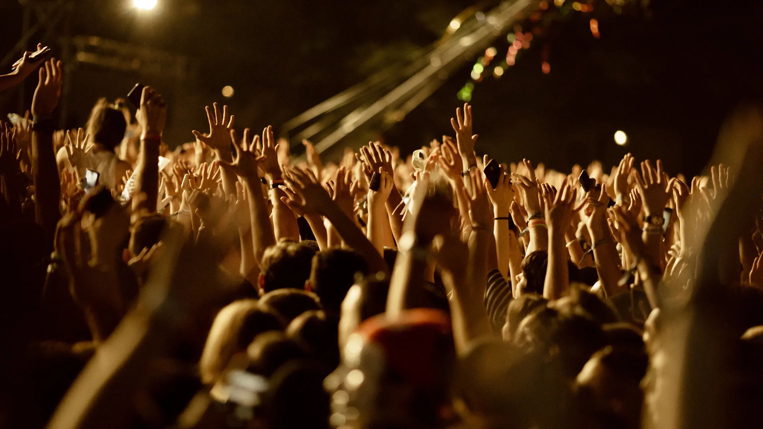 EGG events - Agency - About us : Header - Large group of fans with arms raised having fun on a music concert at night.